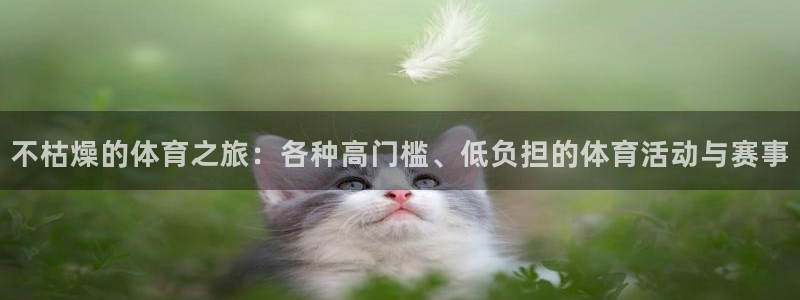 betway西汉姆：不枯燥的体育之旅：各种高门槛、低负担的体育活动与赛事