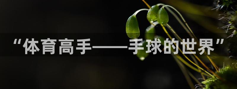 必威betway西汉姆联：“体育高手——手球的世界”