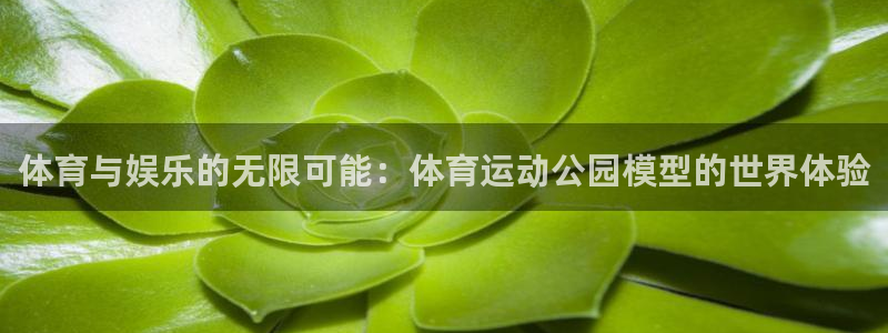 betway西汉姆：体育与娱乐的无限可能：体育运动公园模型的世界体验