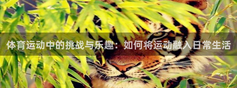 betway西汉姆官网：体育运动中的挑战与乐趣：如何将运动融入日常生活