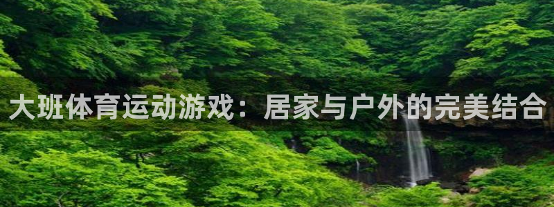 betway西汉姆联官网：大班体育运动游戏：居家与户外的完美结合